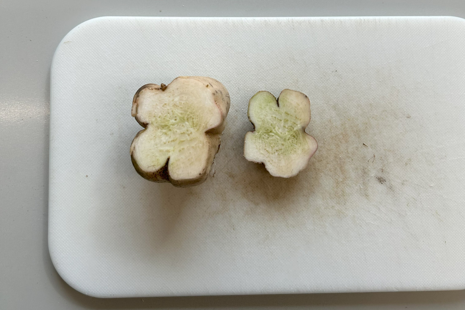 Deformed sugar beet which is sliced open laying on a board