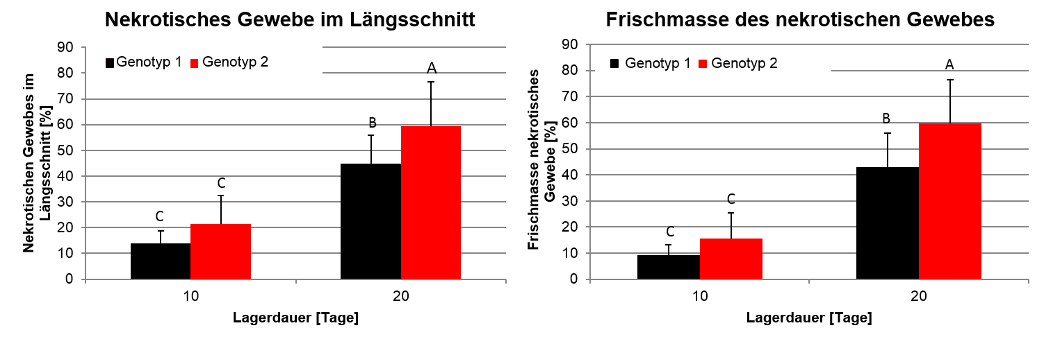 Abb. 3 Bonitur des nekrotischen Gewebes im Längsschnitt (links) und Frischmasse des nekrotischen Gewebes je Einzelrübe (rechts) in Abhängigkeit von Genotyp und Lagerdauer. Nach Inokulation mit F. graminearum erfolgte eine Lagerung im Klimaschrank bei 20 °C und 80 % rLF. Die Fehlerbalken zeigen die Standardabweichung. (n=20; Tukey P<.05)