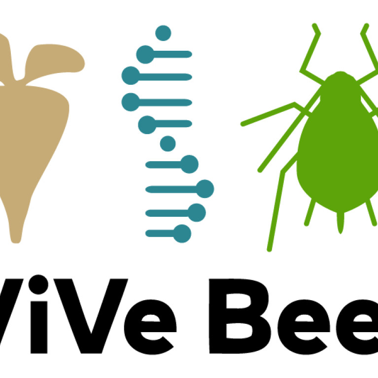 Logo von ViVe Beet, links eine Rübe, in der Mitte ein DNA-Strang, rechts eine Blattlaus (alles stilisiert)