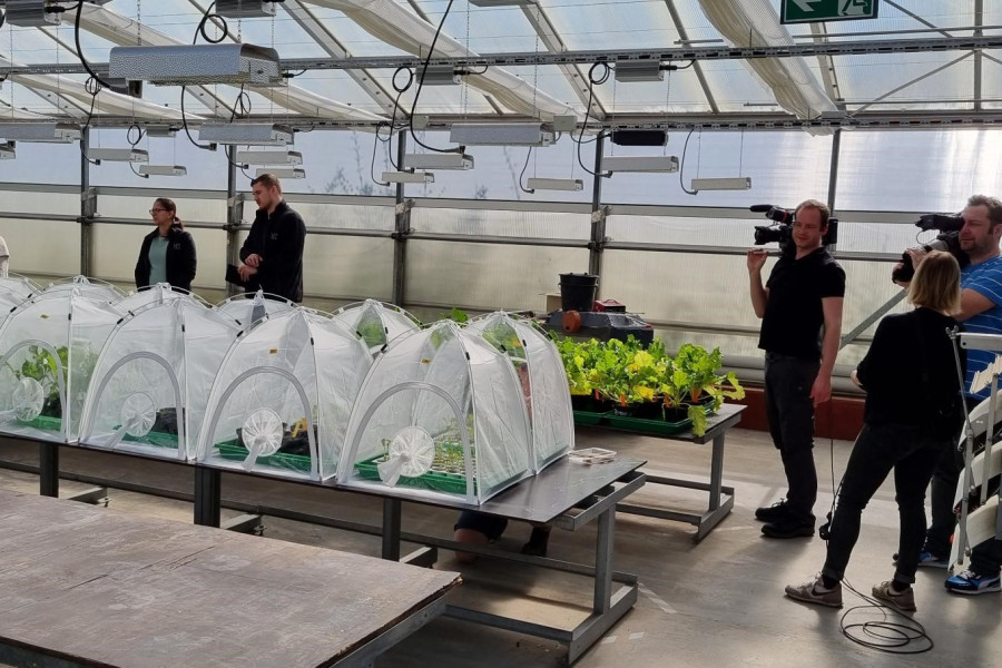 Personen hinter kleinen weißen Zelten im Gewächshaus für Filmaufnahmen, Kameramann